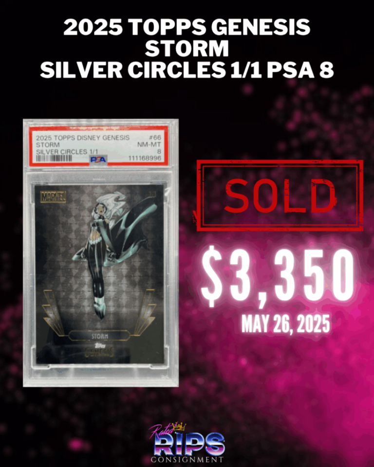 Storm-Silver-Circles-819x1024